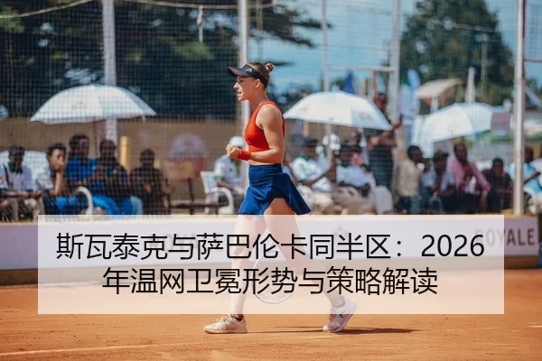 si-wa-tai-ke-yu-sa-ba-lun-ka-tong-ban-qu-nian-wen-wang-wei-mian-xing-shi-yu-ce-lve-jie-du-2-319.jpg